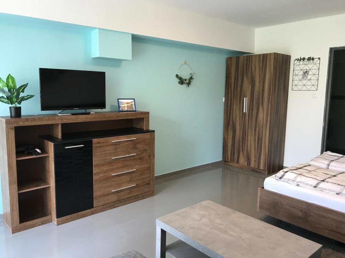 セゲドTisza Gyongye Apartmanhazアパートメント エクステリア 写真