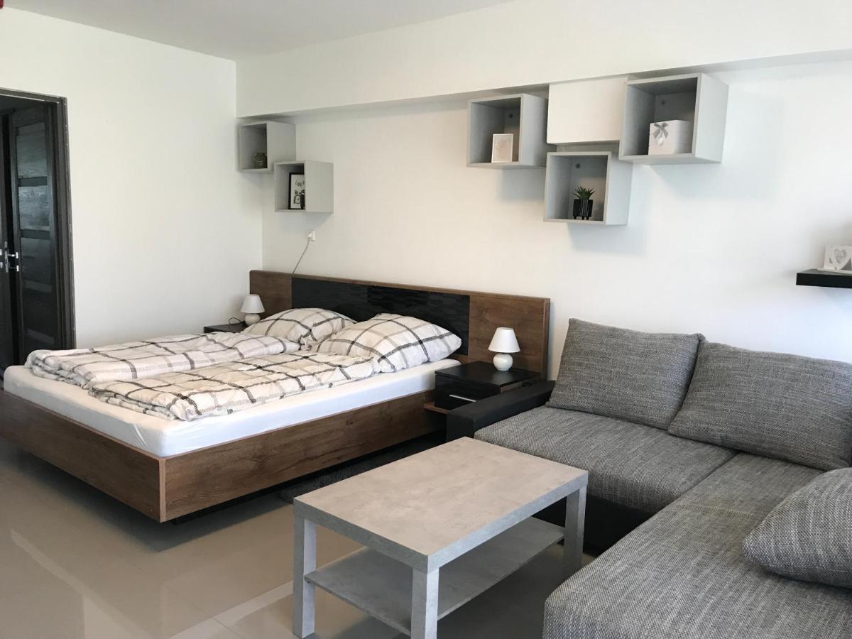 セゲドTisza Gyongye Apartmanhazアパートメント エクステリア 写真