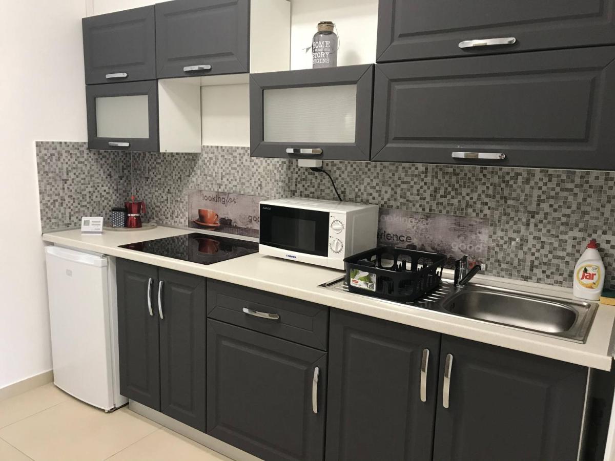 セゲドTisza Gyongye Apartmanhazアパートメント エクステリア 写真