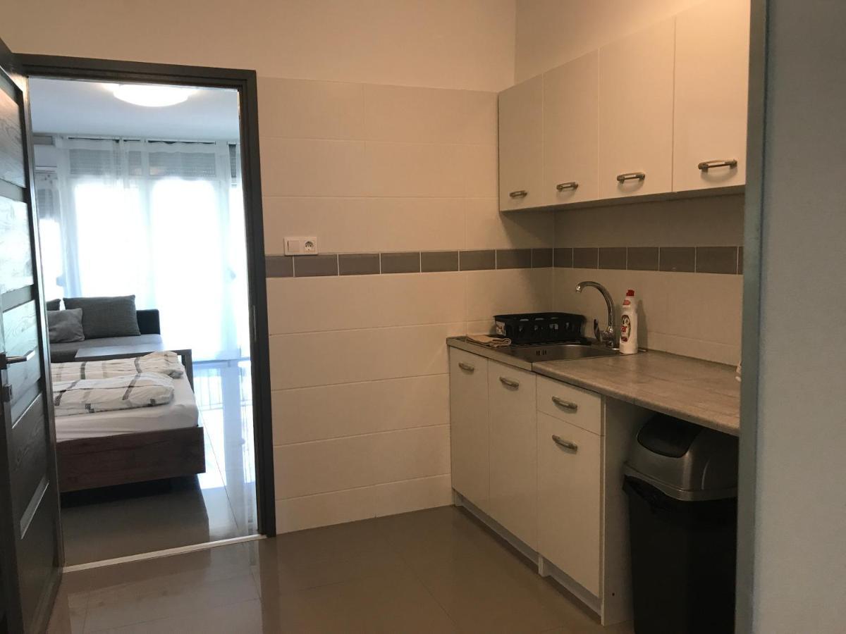 セゲドTisza Gyongye Apartmanhazアパートメント エクステリア 写真