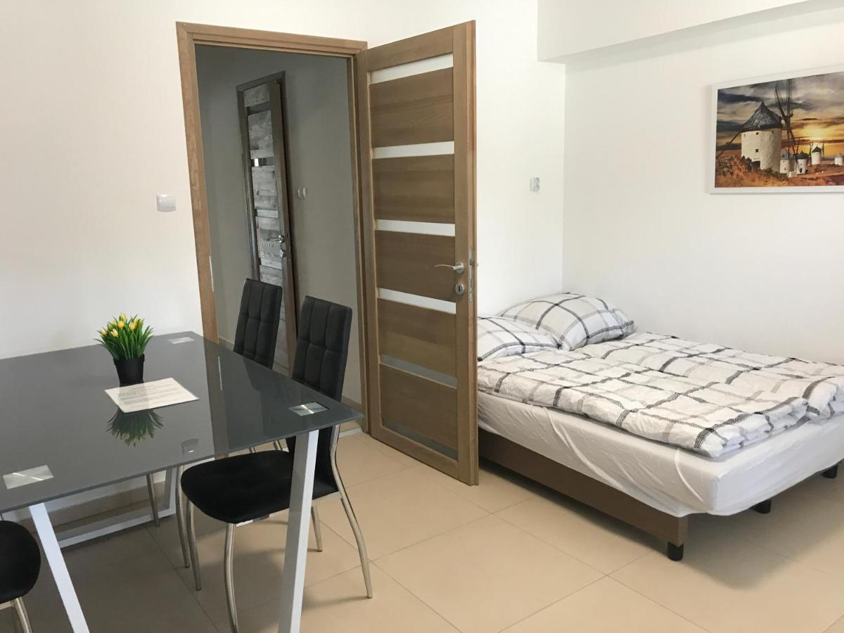 セゲドTisza Gyongye Apartmanhazアパートメント エクステリア 写真