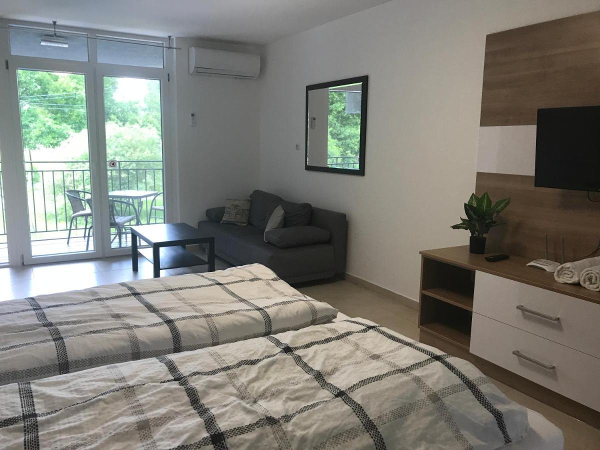 セゲドTisza Gyongye Apartmanhazアパートメント エクステリア 写真