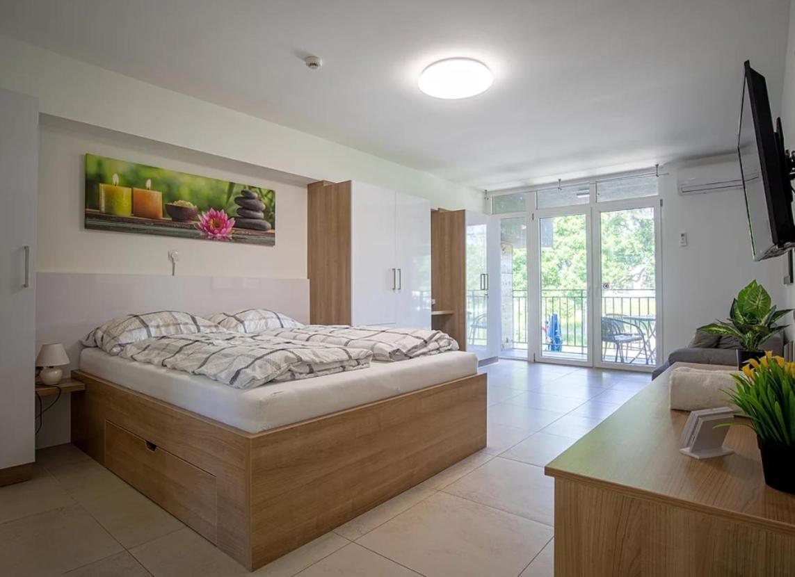 セゲドTisza Gyongye Apartmanhazアパートメント エクステリア 写真